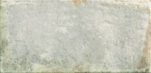 Obklad/dlažba Fossil 11x22,5 cm, lesk