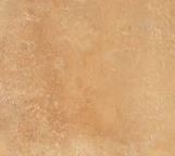 Home Goldensun (2)