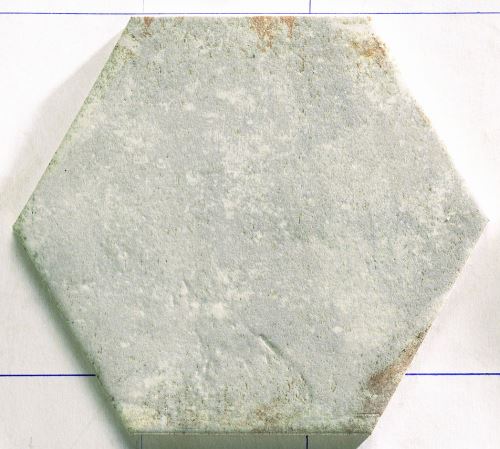 ODSTÍN FOSSIL
