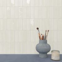 Obklad Skin White 4x12,5cm, lesk (4)