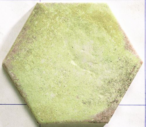 ODSTÍN MOSS
