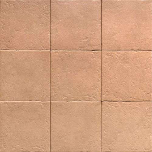 Dlažba/obklad Canem 20x20cm