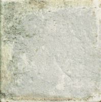 Obklad/dlažba Fossil 11x11 cm, lesk
